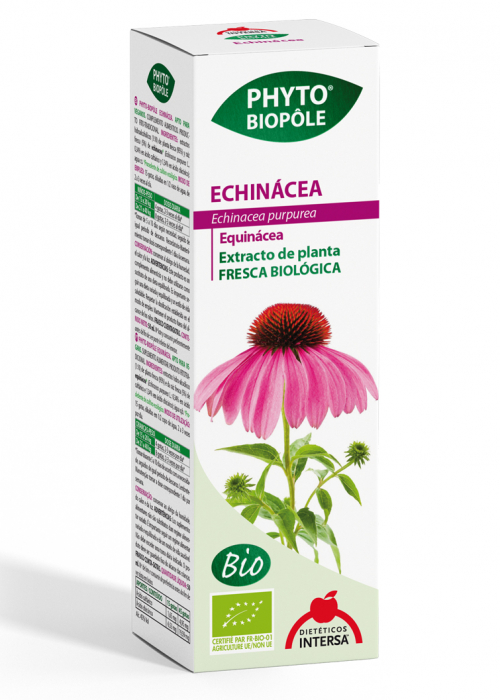 ECHINACEA